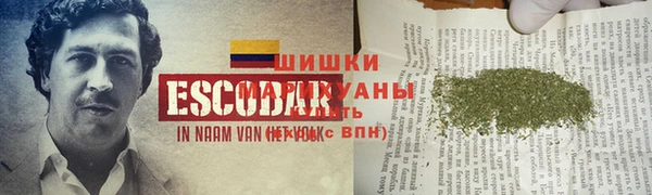 сатива Козловка