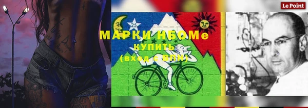сатива Козловка