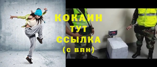 дмт Козельск