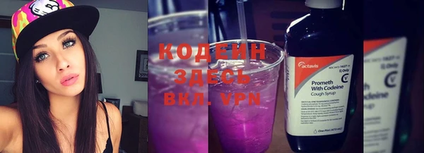 сатива Козловка