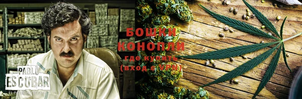 дмт Козельск