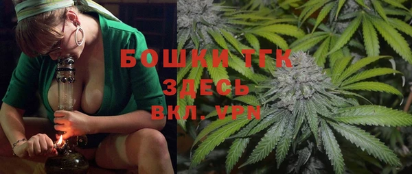 сатива Козловка