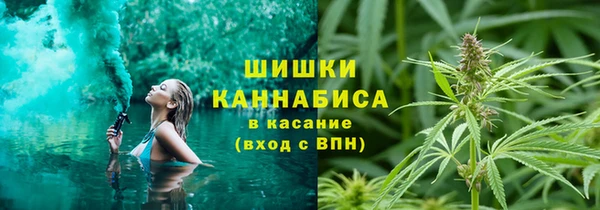прущие крисы Кодинск