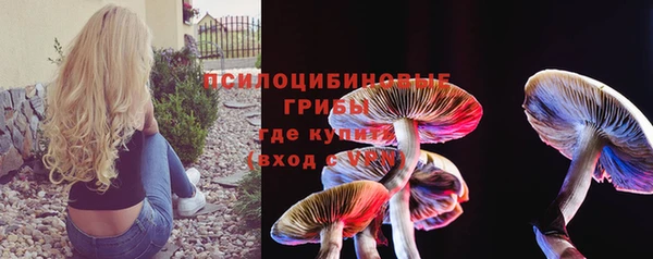 дмт Козельск