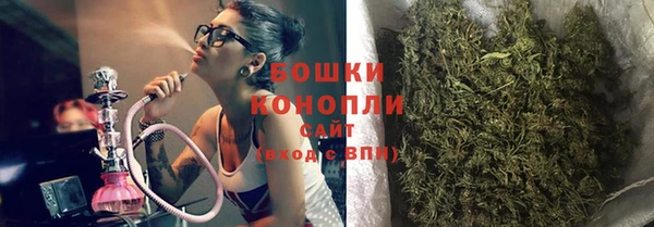 дмт Козельск