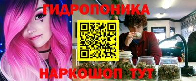 индика Гусь-Хрустальный